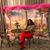 Janet Alvarez's profile image