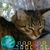 Shawna Schroers's profile image