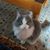 Barb Nelson Kieffer's profile image