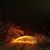 Rich Chelson's profile image