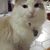 Molly Murphy's profile image