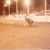Mary Ellerbee Holt's profile image