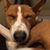 Sandy Bartlett's profile image