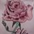 Sofia Sher's profile image