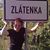 Zlatuše Blažková's profile image