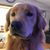 Betsy Rogowski's profile image
