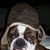 Mike Donsker's profile image