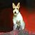 Carol KM Bardell's profile image