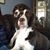 Patti Beauchesne's profile image