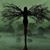 Gale Fraley's profile image