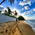Jenifer Van Natta's profile image