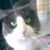 Deon Kind Wissler's profile image