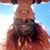 Brye Edwards's profile image