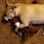 Tonnya Beehler's profile image