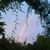 Cella Lee's profile image