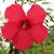 RoseMary Youger's profile image