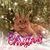 Cherri Slone Mims's profile image