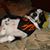 Brenda Sadler's profile image