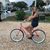 Lisa Harper Basco's profile image