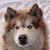 Melanie K. Boe's profile image