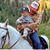 Matthew Pollaehne's profile image