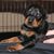 Richard Greenberg's profile image