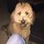 David Evans's profile image