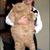 Terri Hubblefield's profile image
