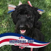 Heidi DeClue's profile image