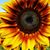Terri Keith Drinkuth's profile image