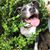 Jamie Slagle's profile image