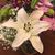 Trish Macaluso's profile image