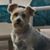 Joan Motta Eline's profile image