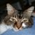 Paige Timberlake McCay's profile image