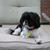 Sharon Shores's profile image