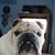 Joanne Duphily's profile image