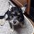 Carol Euker's profile image
