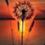 Cheryl Maness's profile image