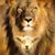 Jeff Meece's profile image