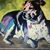 Kate McNabb's profile image