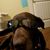 Victoria Buechter's profile image