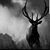 Bobby Godwin's profile image