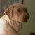 CathyandJim Borgwardt's profile image