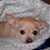 Carmen A. Malave's profile image