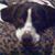Courtney Borley's profile image