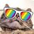 Katy Acheson's profile image