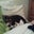 Amiee Colomb's profile image
