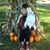Julie Ludwig's profile image