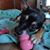 Bethani Ramos's profile image
