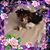 Brenda Bradney's profile image